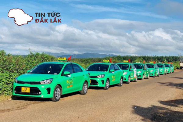 Taxi Mai Linh Buôn Ma Thuột, Đắk Lắk