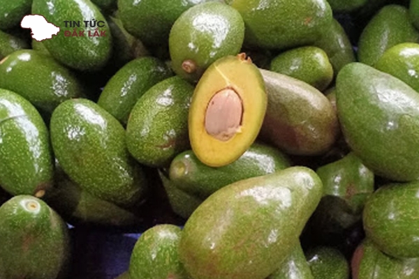 Bơ Sáp