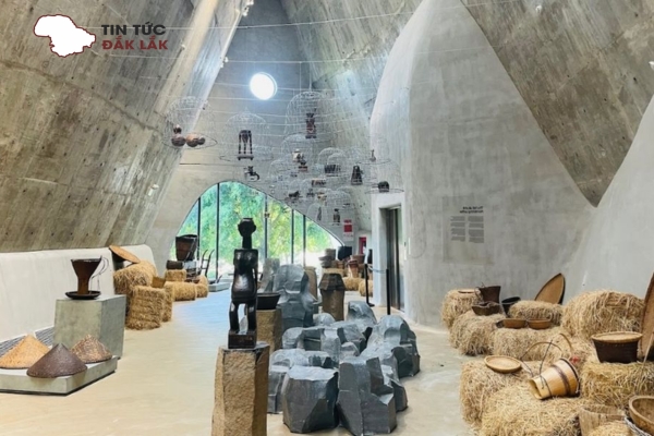 Những Trải Nghiệm Không Thể Bỏ Lỡ Tại Bảo Tàng