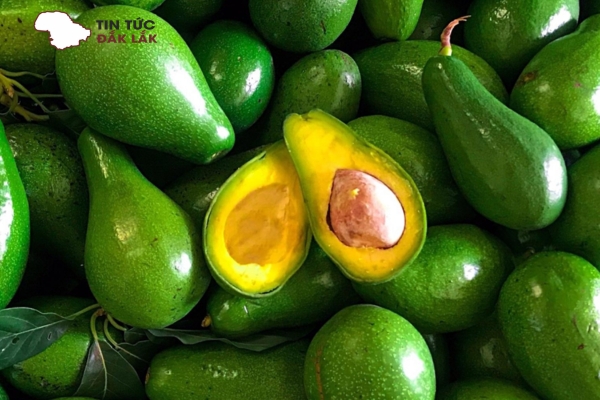 Bơ Mã Dưỡng