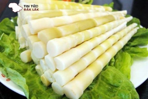 Các Món Ăn Ngon Dễ Làm Từ Măng Le Tây Nguyên