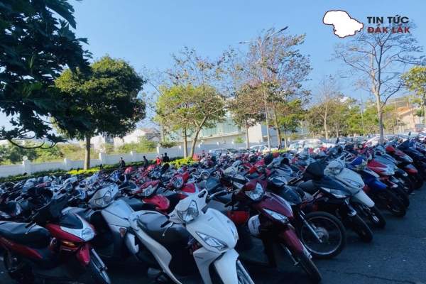 Hải Yến