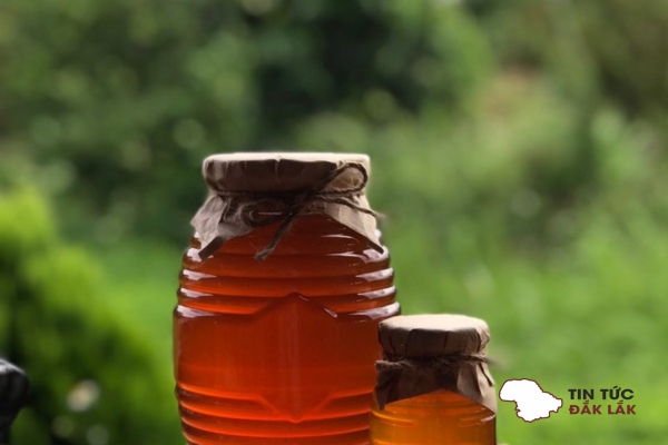 Lợi Ích Sức Khỏe Mà Mật Ong Hoa Cà Phê Mang Lại