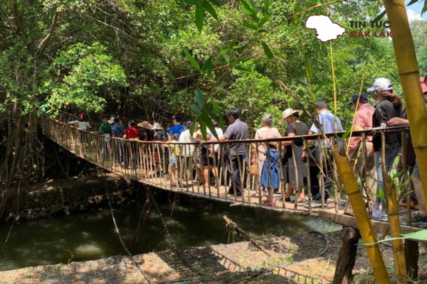Trải Nghiệm Thú Vị Khi Tham Quan Cầu Treo Buôn Ma Thuột
