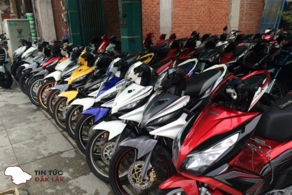 Việt Ngô